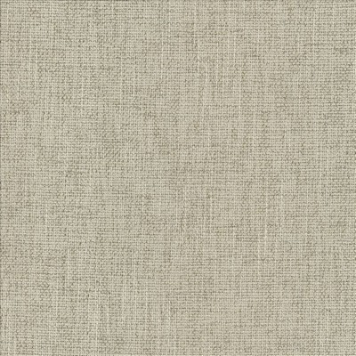 Kasmir SAFE BET         LINEN           